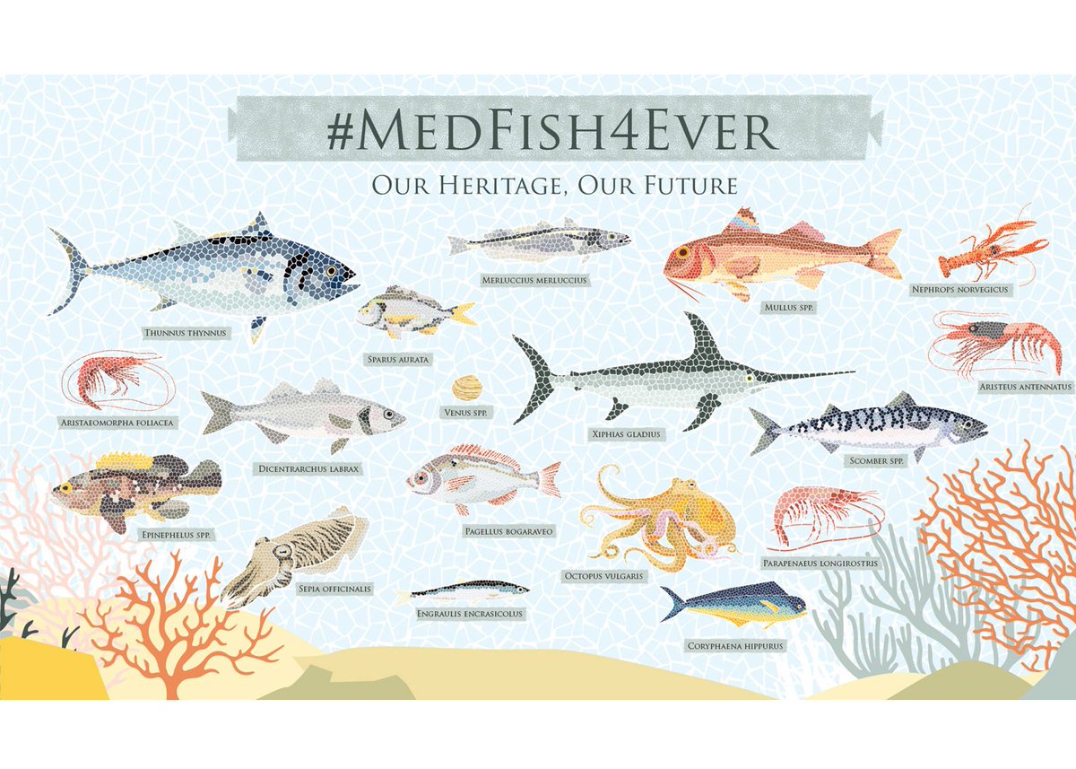 MEDFISH4EVER