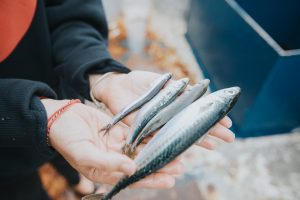 zašto kupovati održive proizvode iz ribarstva