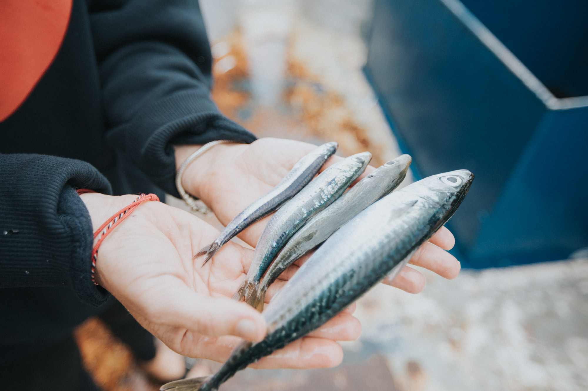 Zašto kupovati održive proizvode iz ribarstva?