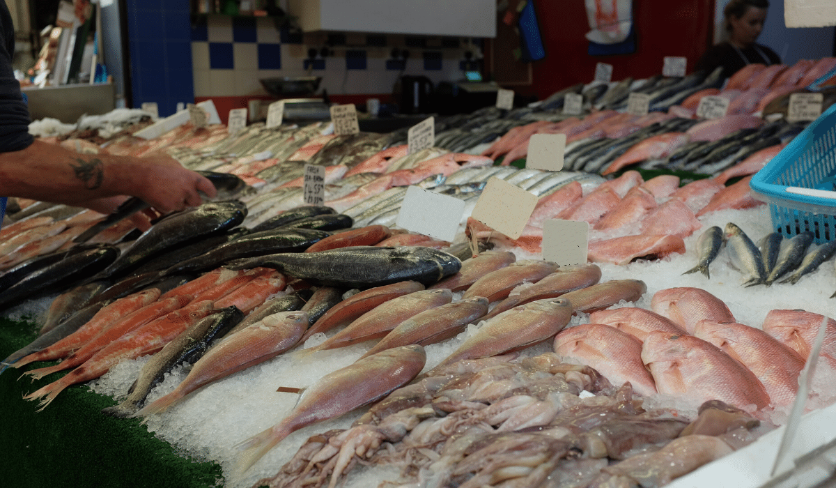 Svježa riba ponovno dostupna na tržnicama