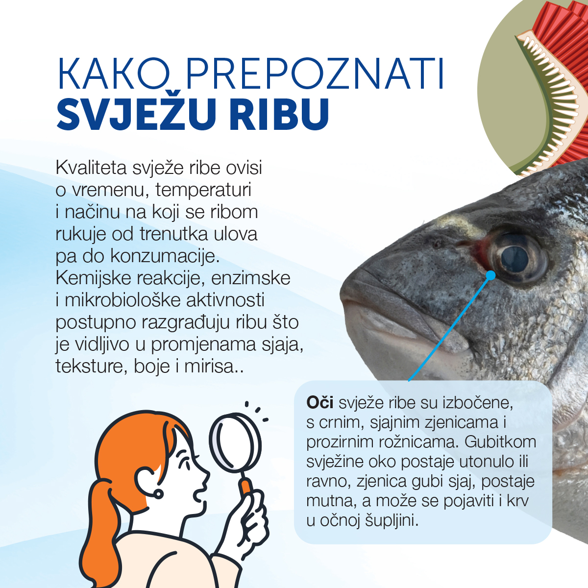 Kako prepoznati svježu ribu?