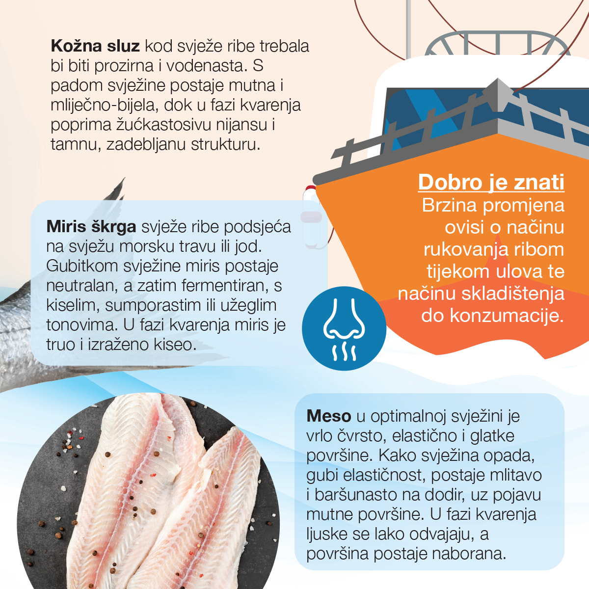 Kako prepoznati svježu ribu?