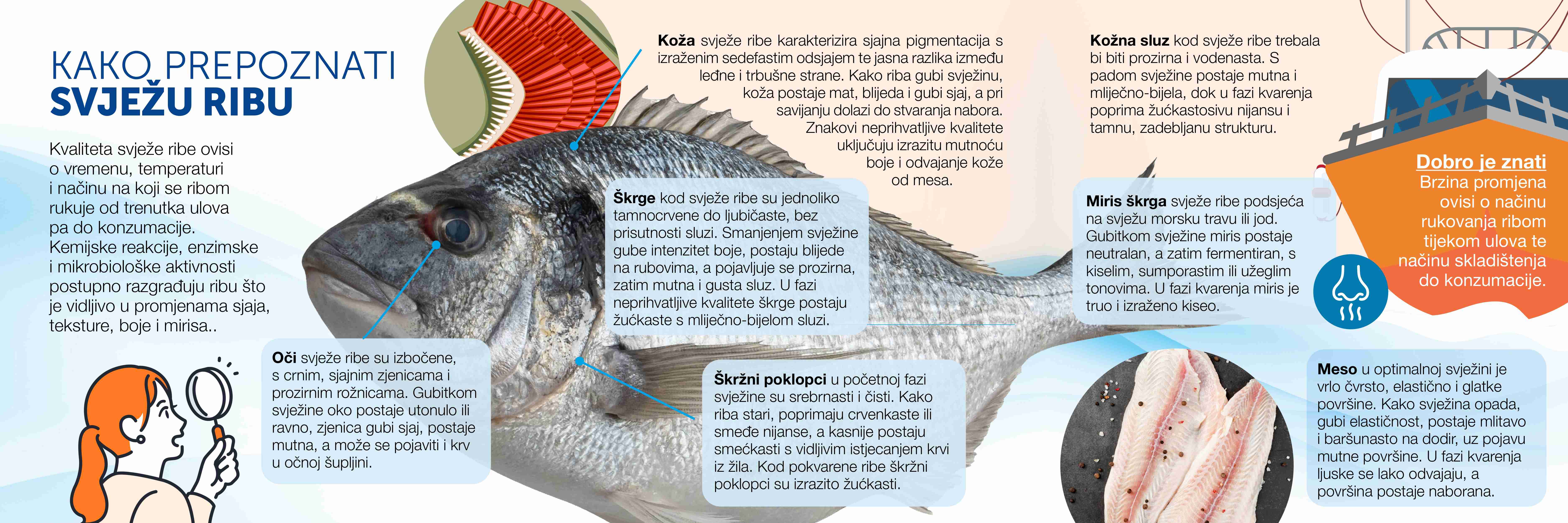 Kako prepoznati svježu ribu?