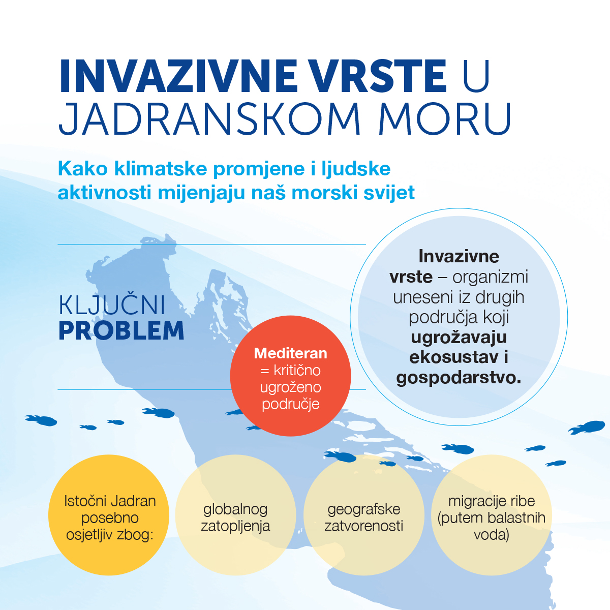 Invazivne vrste u Jadranskom moru